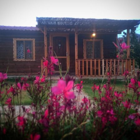 Ipekce Tatil Evleri ميسوديه المظهر الخارجي الصورة